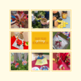 /album/baby-bear-kindergarten/baby-bear-spring-photo-png/